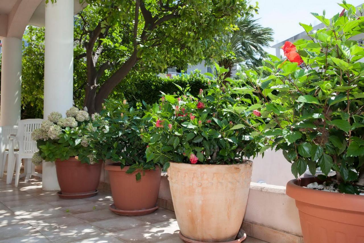 Aparthotel Villa Mozart Podgora Exterior photo